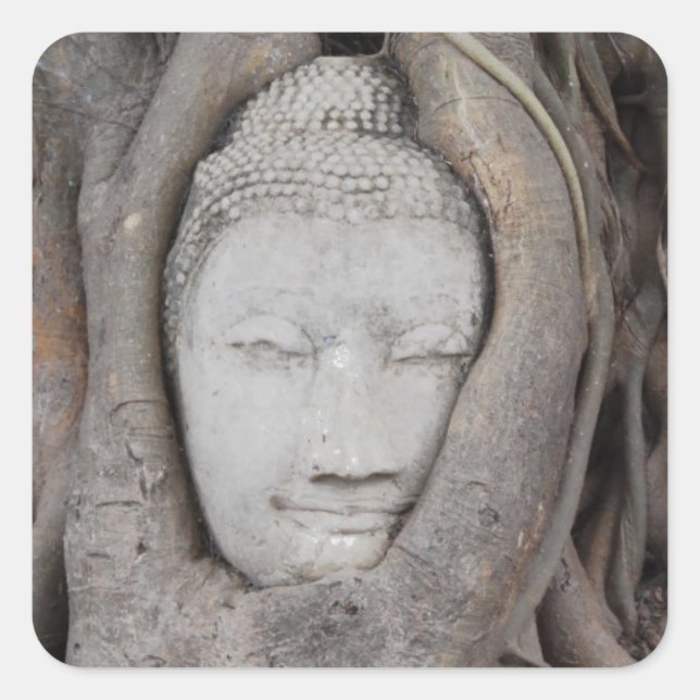 Thailand Head of Buddha surrounded by trees Square Sticker (Front)