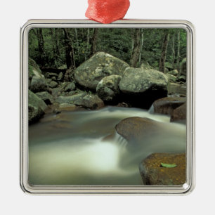 Thailand, Kohsamui Island, Rainforest landscape. Metal Ornament