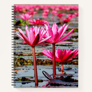 Thailand - Kumphawapi Lotus Lake Notebook