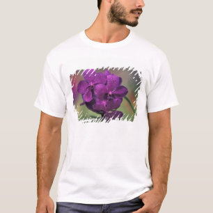 Thailand, Northern Thailand, near Chang Mai, Mae T-Shirt