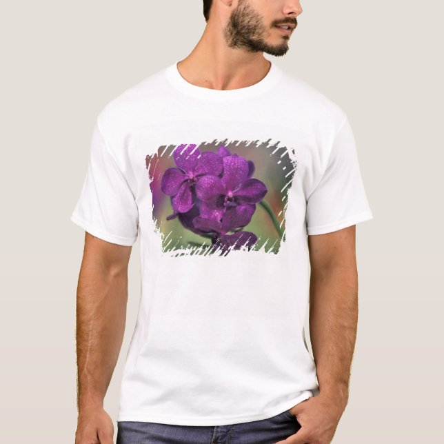 Thailand, Northern Thailand, near Chang Mai, Mae T-Shirt (Front)