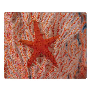 Thailand, Sea Star Aka Starfish Jigsaw Puzzle
