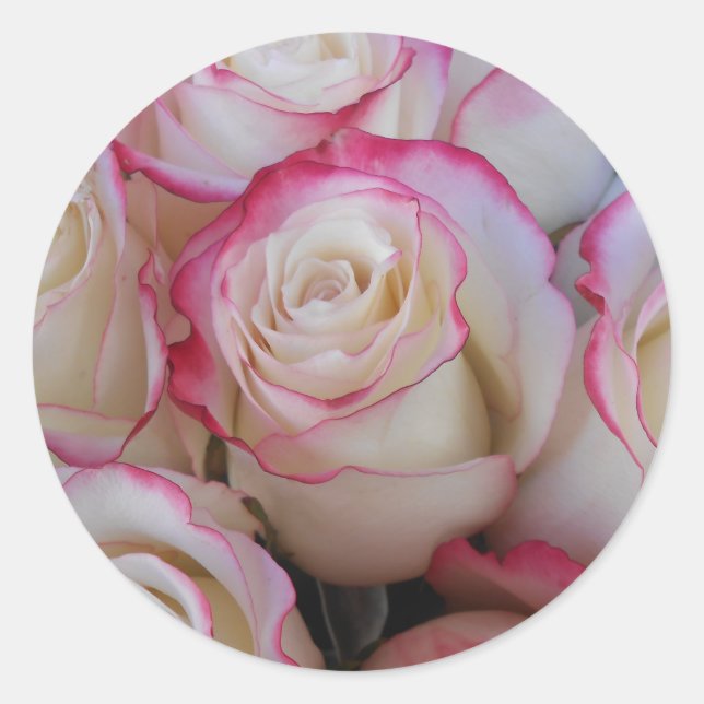 Thamar Classic Round Sticker (Front)