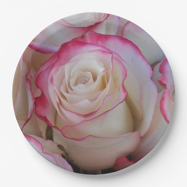 Thamar Paper Plates (Front)
