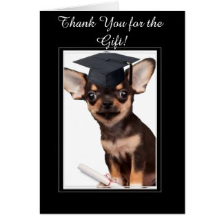 Than You for the Graduation Gift Chihuahua card