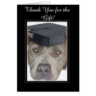 Than You for the Graduation Gift Pitbull card