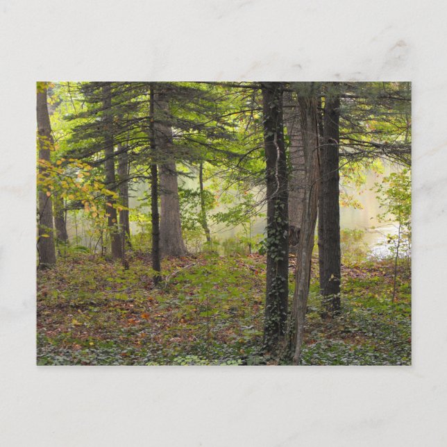 Thank a soldier, DSCF7047 Postcard (Front)