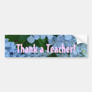 Thank a Teacher! bumper stickers Teach Teaching