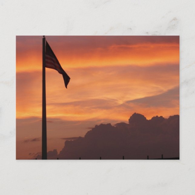 Thank Our Service Members ~ 43 Postcard (Front)