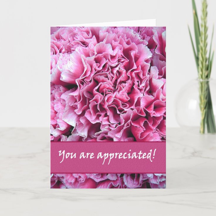 Thank You Admin Professionals Day Pink Carnations Zazzle 8831