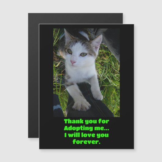 Thank you adopting me..will love you forever Cat (Front/Back)