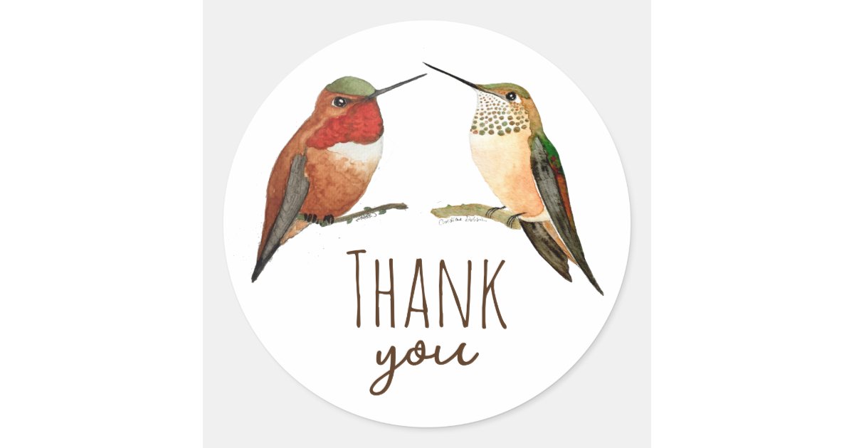 Thank you Allen's Hummingbirds Classic Round Sticker | Zazzle