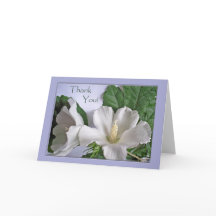 Thank You Any Occasion White Hibiscus Flowers