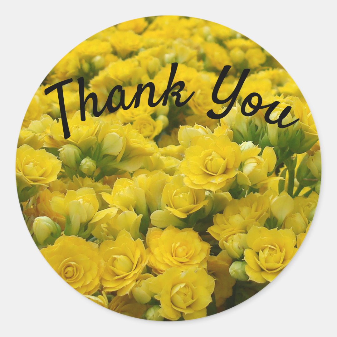 Thank You Appreciation Bright Yellow Flower Photo Classic Round Sticker ...
