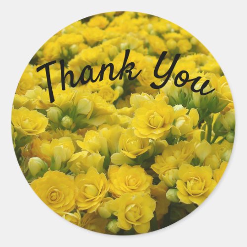 Thank You Appreciation Bright Yellow Flower Photo Classic Round Sticker