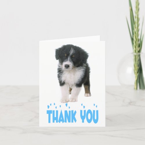 Thank You Australian Shepherd Puppy Dog