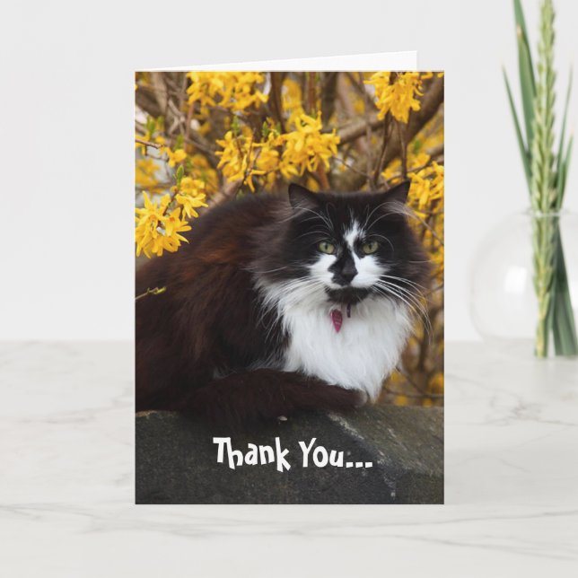 Thank You Autumn Cat greeting card (Front)