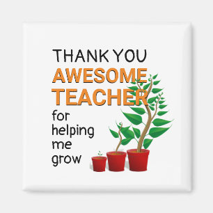Thank You Awesome Teacher Magnet