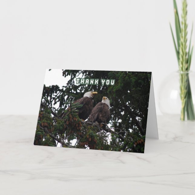 Thank You, Bald Eagles Card (Front)