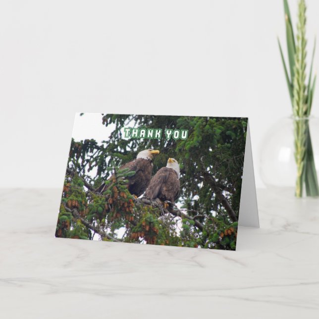 Thank You, Bald Eagles Card (Front)