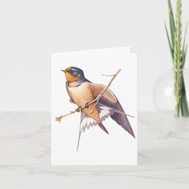 Thank You - Barn Swallow Card (Front)