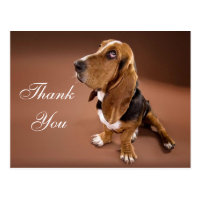 Basset Hound Cards - Greeting & Photo Cards | Zazzle