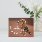 Thank You Basset Hound Greeting Post Card | Zazzle