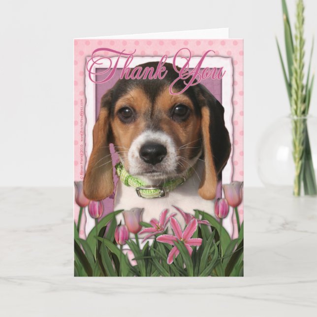 Thank You - Beagle Puppy (Front)