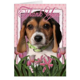 Beagle Cards | Zazzle