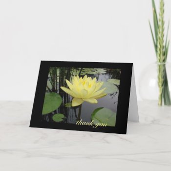 Thank You - Beautiful Water Lily by AJsGraphics at Zazzle