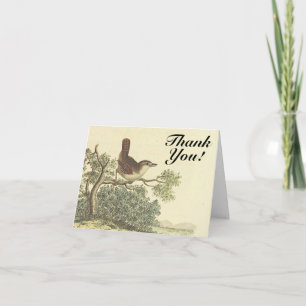 "Thank You!", Bird on a Branch, Vintage Look Card