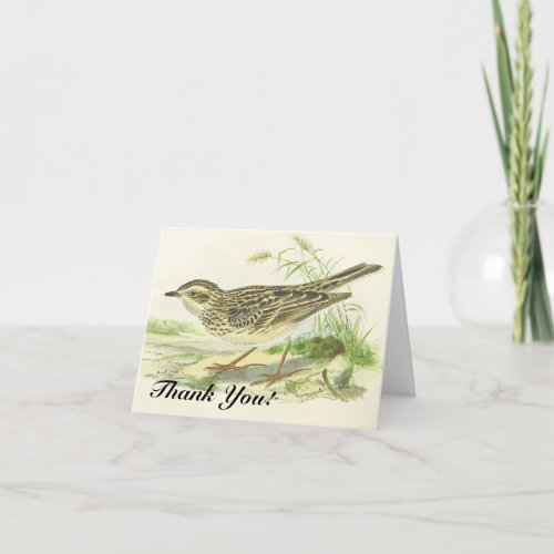 Thank You Bird Standing on the Ground Card