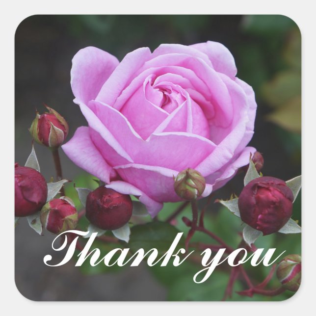 Thank You Bishop’s Castle Rose #1 Stickers (Front)