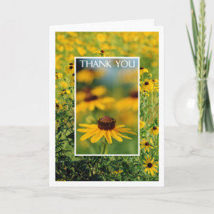 Thank You - Black-Eyed Susans Greeting Card