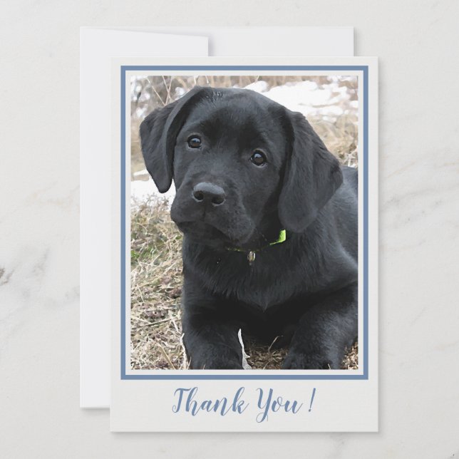 Thank You Black Labrador- Blue Gray Cute Puppy Dog (Front)