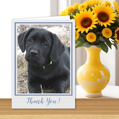 Thank You Black Labrador _ Cute Puppy Dog