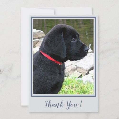 Thank You Black Labrador _ Gray Cute Puppy Dog