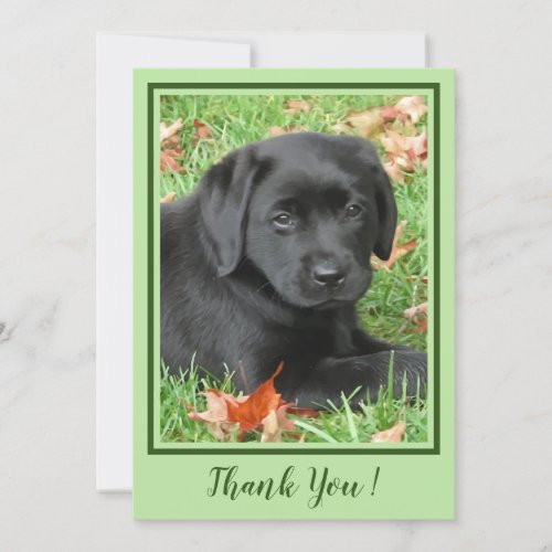 Thank You Black Labrador Puppy _ Autumn Cute Dog