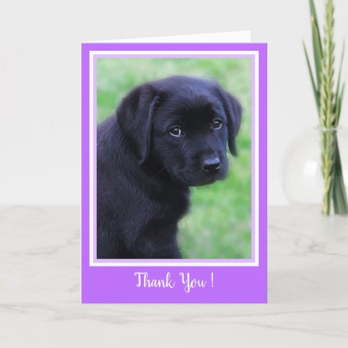 Thank You Black Labrador Puppy _ Cute Dog