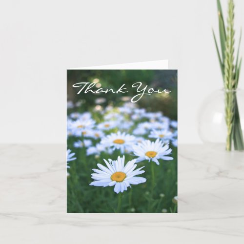 Thank You Blank Daisies Thank You Card