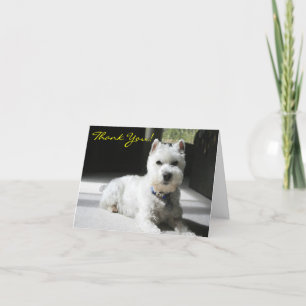Thank You, Blank, Mini Schnauzer Letterpress Thank You Card