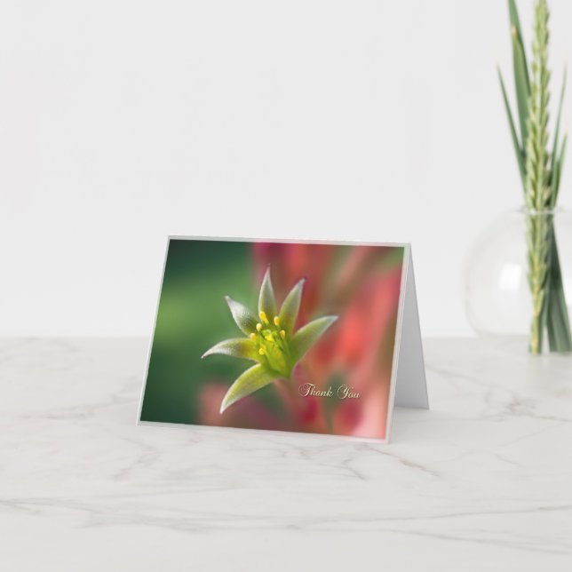 Thank You Blank Note Card (Front)