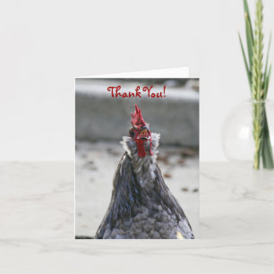 Thank You, Blank, Rooster Letterpress Thank You Card
