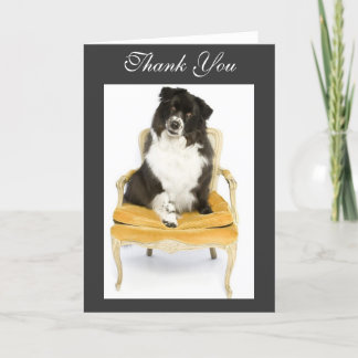 Thank You Border Collie Card