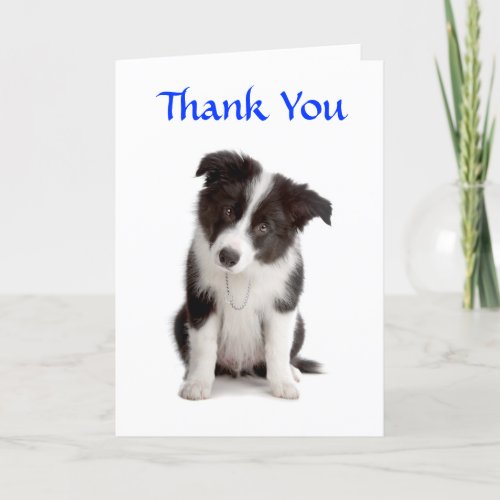 Thank You Border Collie Puppy Greeting Card