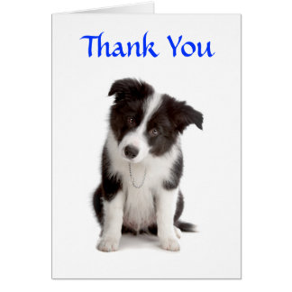 thank_you_border_collie_puppy_greeting_card-rbea63be1f083499b9fdec4ab55a58be5_xvuat_8byvr_324.jpg