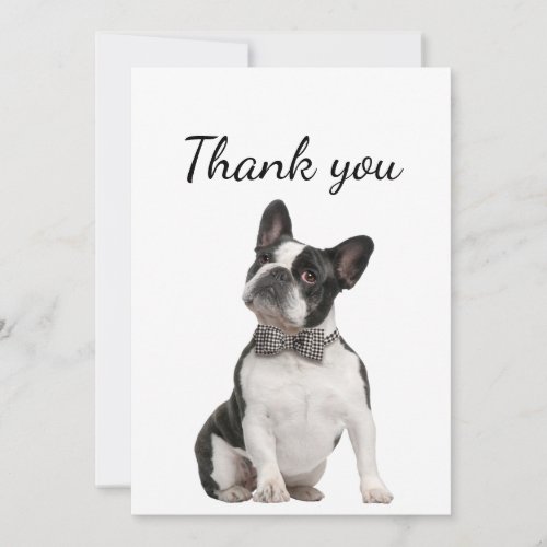 Thank You Boston Terrier Dog Pet Animal 