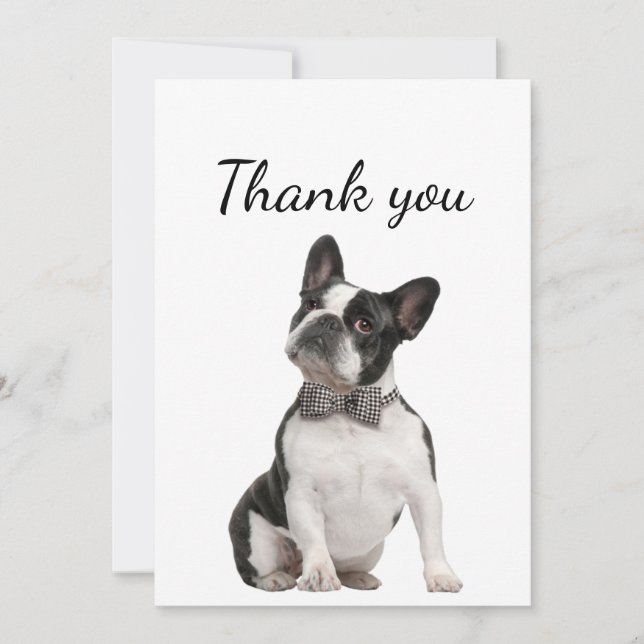 Thank You Boston Terrier Dog Pet Animal  Card (Front)