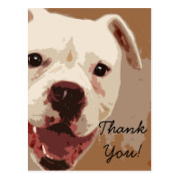 Thank  you Boxer Dog Art postcard