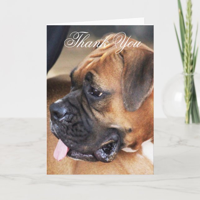 Thank You Boxer dog greeting card (Front)